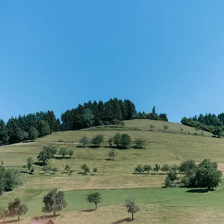 Moderne 2 Zi.-fewo Blackforestart Naehe Freiburg דירה *