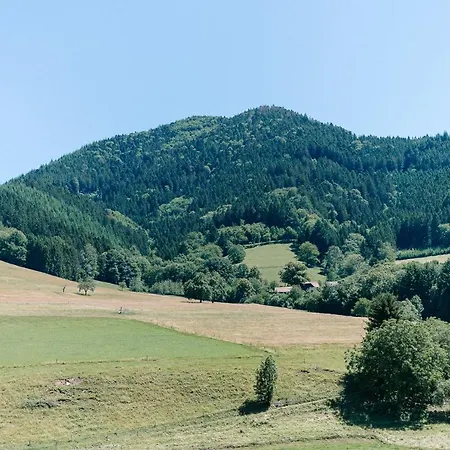 Moderne 2 Zi.-fewo Blackforestart Nähe Freiburg Apartment Simonswald