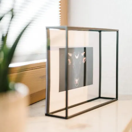 Daire Moderne 2 Zi.-fewo Blackforestart Naehe Freiburg Simonswald